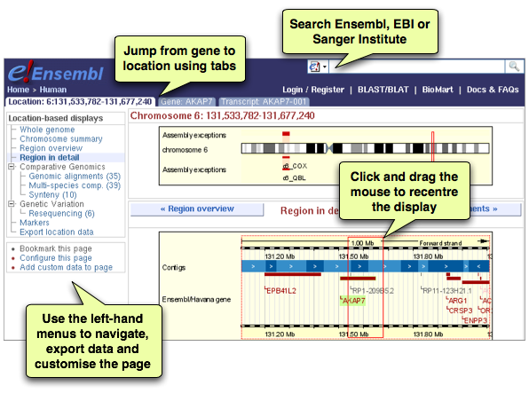 Screenshot of new design