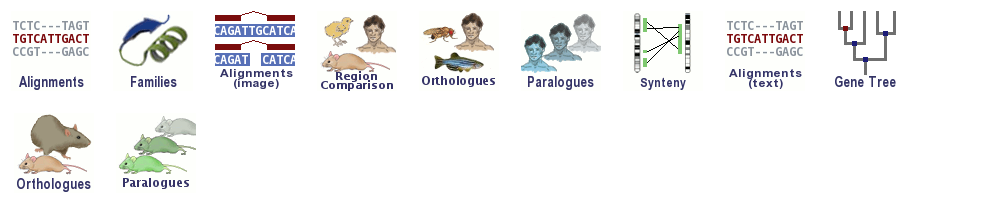 Ensembl genome browser 115